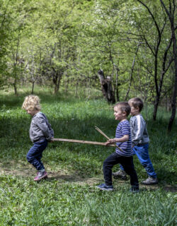 5 pomysłów na zabawy w parku i w lesie